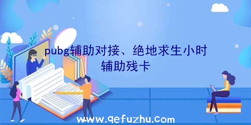 pubg辅助对接、绝地求生小时辅助残卡