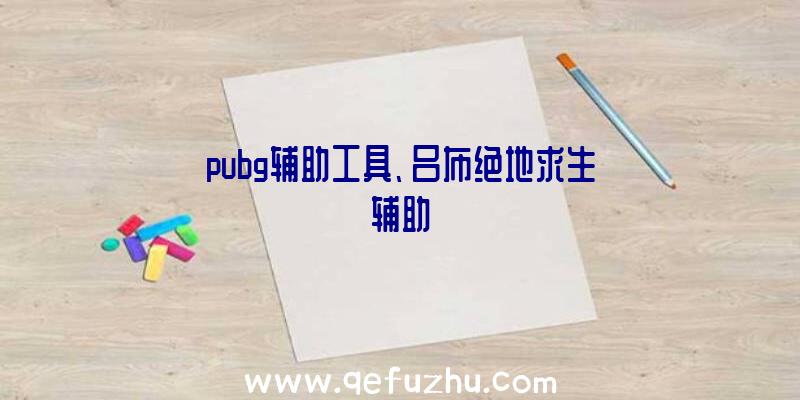 pubg辅助工具、吕布绝地求生辅助