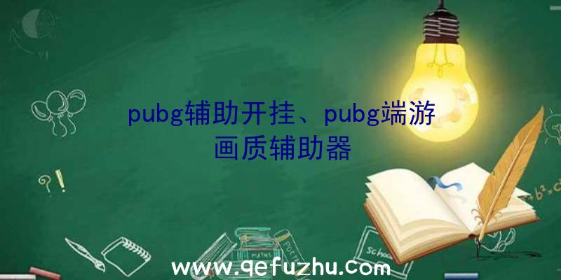 pubg辅助开挂、pubg端游画质辅助器