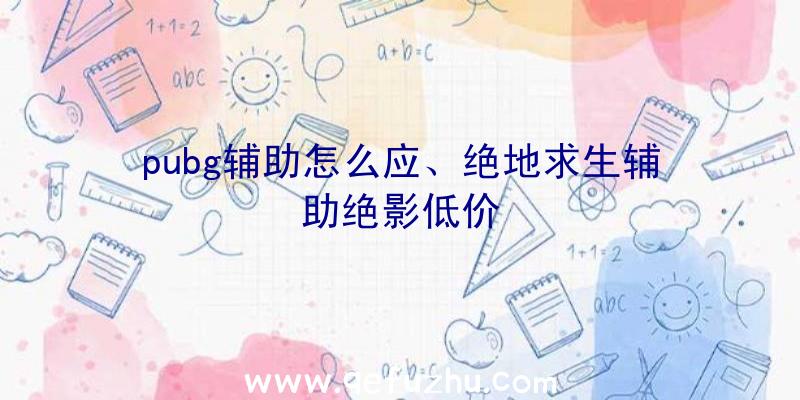 pubg辅助怎么应、绝地求生辅助绝影低价