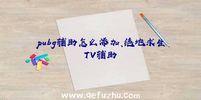 pubg辅助怎么添加、绝地求生TV辅助