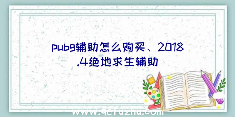 pubg辅助怎么购买、2018.4绝地求生辅助