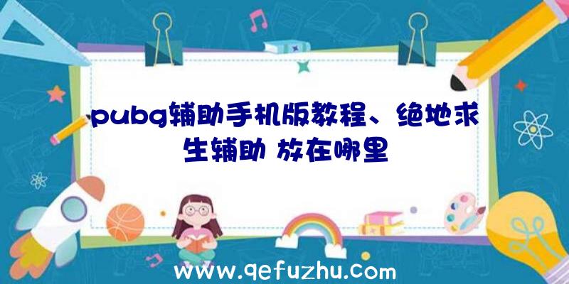 pubg辅助手机版教程、绝地求生辅助