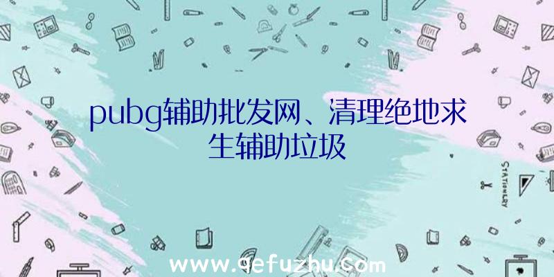 pubg辅助批发网、清理绝地求生辅助垃圾