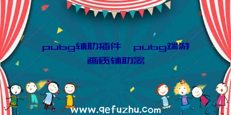 pubg辅助插件、pubg端游画质辅助器