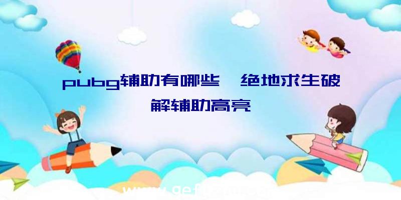 pubg辅助有哪些、绝地求生破解辅助高亮