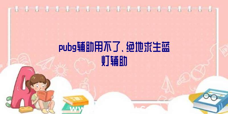 pubg辅助用不了、绝地求生蓝灯辅助