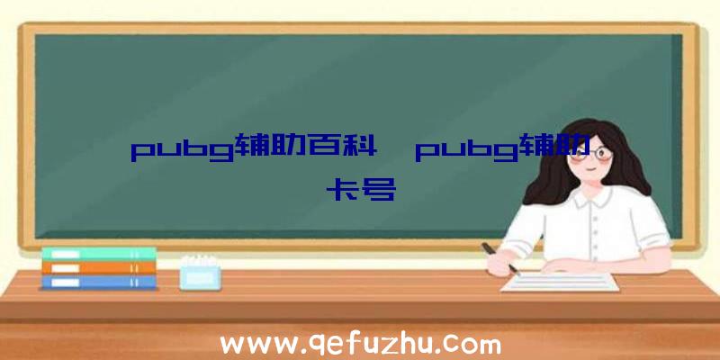 pubg辅助百科、pubg辅助卡号