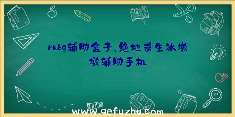 pubg辅助盒子、绝地求生冰墩墩辅助手机