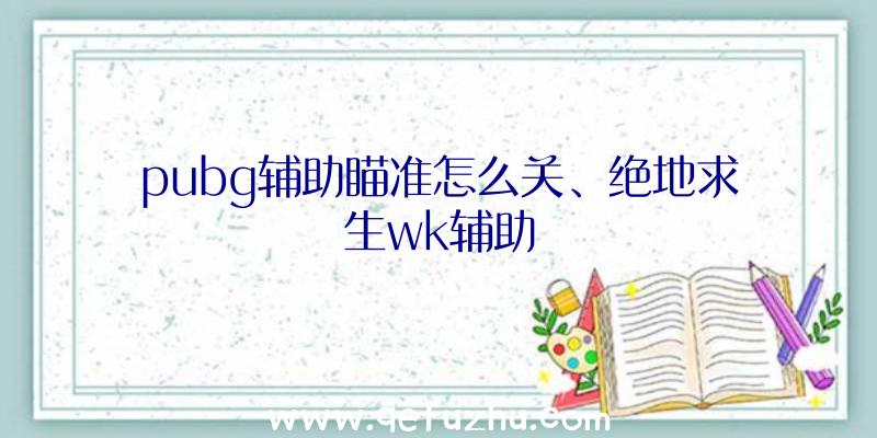 pubg辅助瞄准怎么关、绝地求生wk辅助