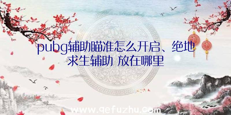 pubg辅助瞄准怎么开启、绝地求生辅助