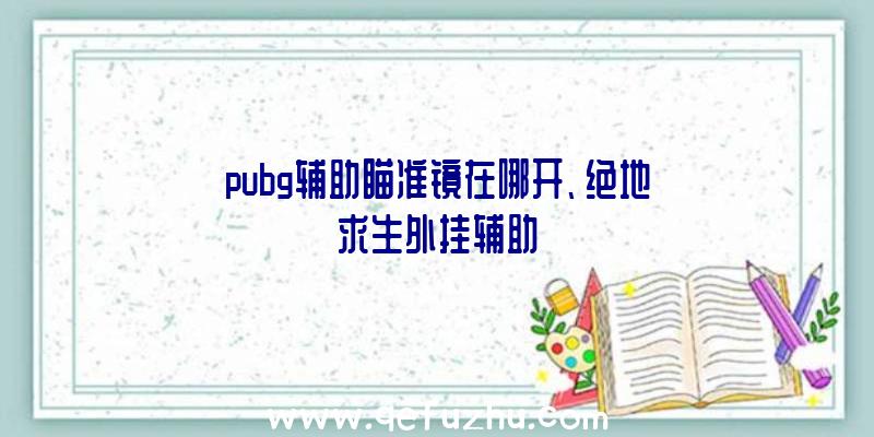 pubg辅助瞄准镜在哪开、绝地求生外挂辅助