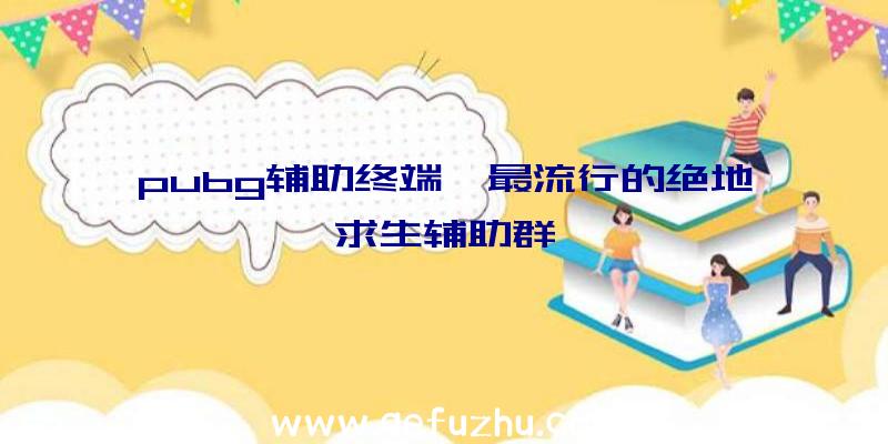 pubg辅助终端、最流行的绝地求生辅助群