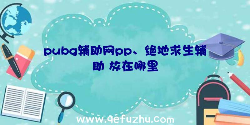 pubg辅助网pp、绝地求生辅助