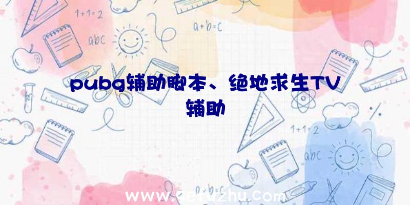 pubg辅助脚本、绝地求生TV辅助