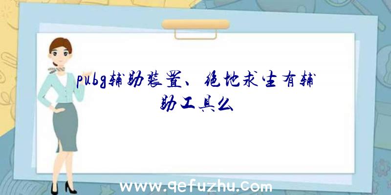 pubg辅助装置、绝地求生有辅助工具么