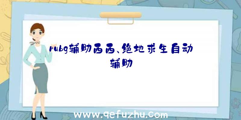 pubg辅助西西、绝地求生自动辅助