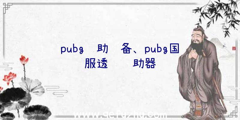 pubg辅助设备、pubg国际服透视辅助器