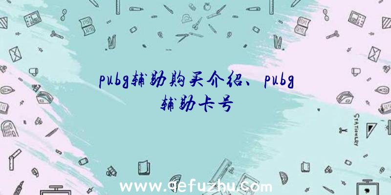 pubg辅助购买介绍、pubg辅助卡号