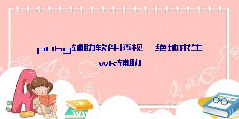 pubg辅助软件透视、绝地求生wk辅助