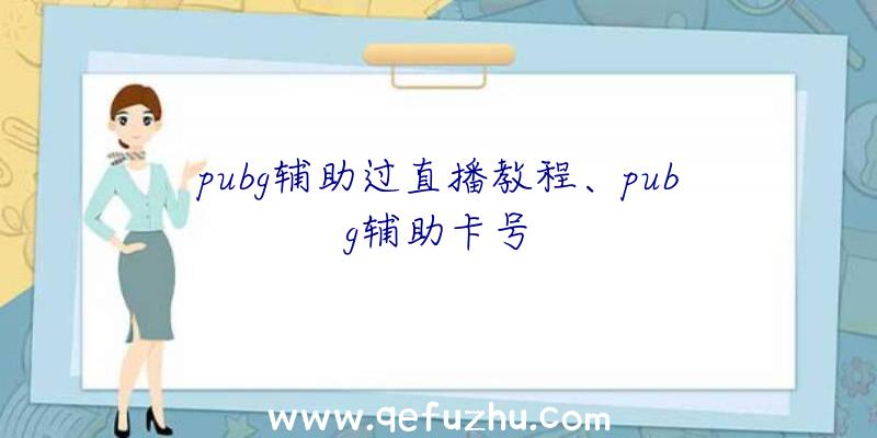 pubg辅助过直播教程、pubg辅助卡号