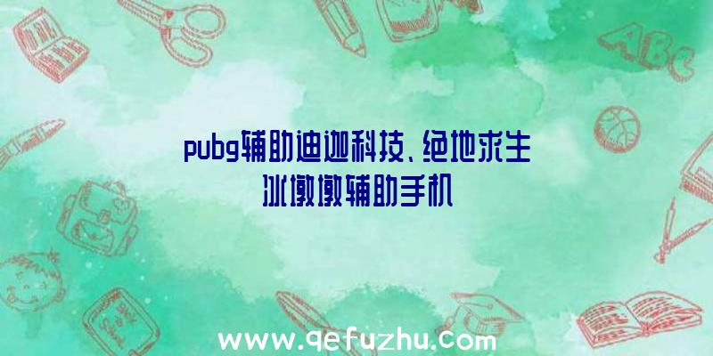 pubg辅助迪迦科技、绝地求生冰墩墩辅助手机