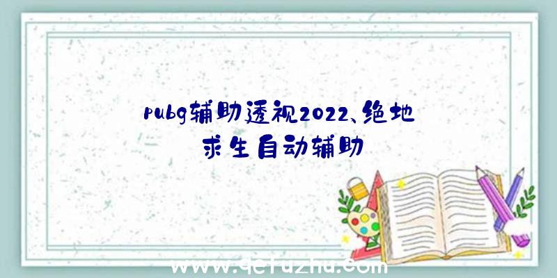 pubg辅助透视2022、绝地求生自动辅助