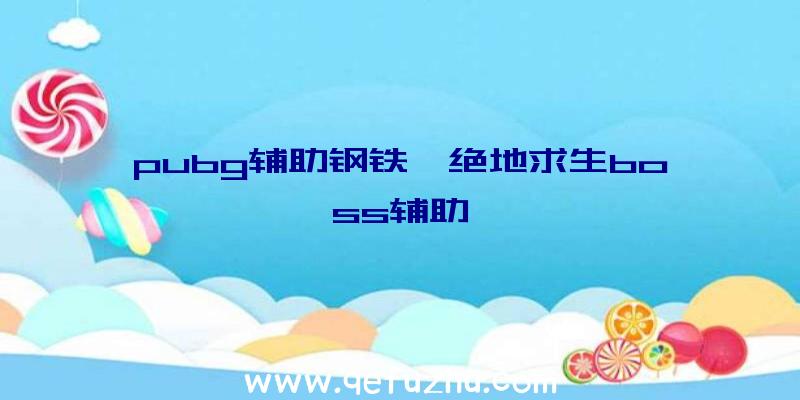 pubg辅助钢铁、绝地求生boss辅助