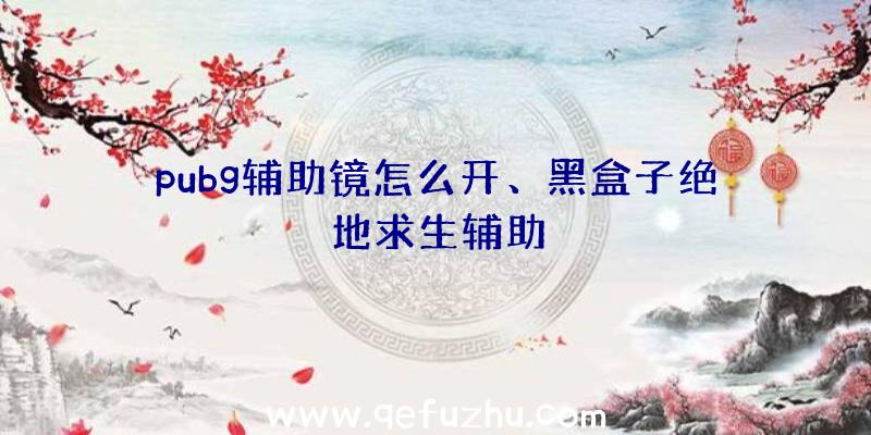 pubg辅助镜怎么开、黑盒子绝地求生辅助