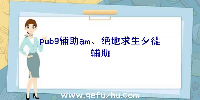 pubg辅助am、绝地求生歹徒辅助