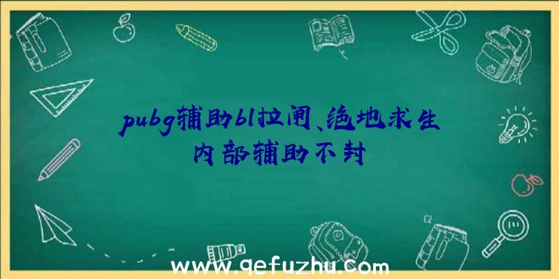 pubg辅助bl拉闸、绝地求生内部辅助不封