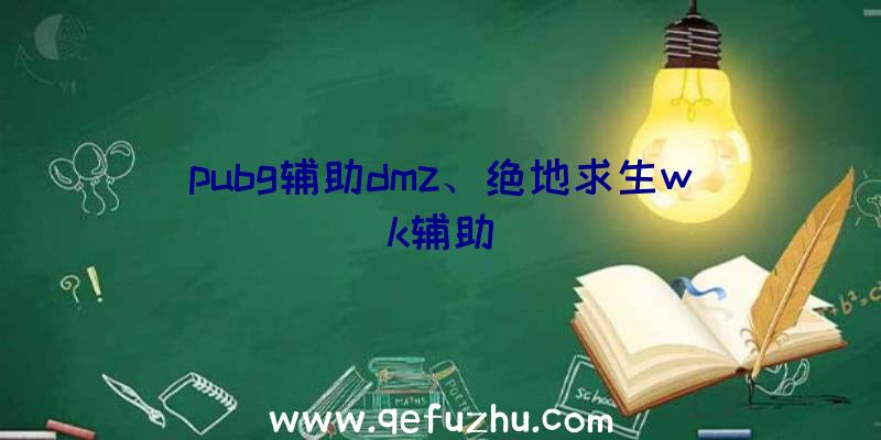 pubg辅助dmz、绝地求生wk辅助