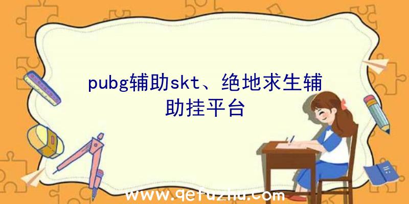 pubg辅助skt、绝地求生辅助挂平台