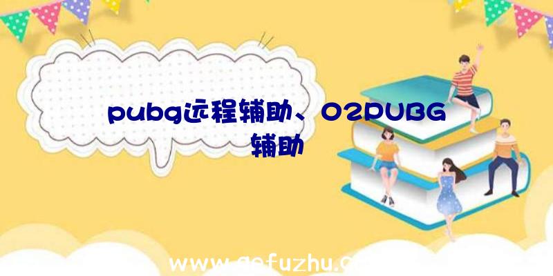 pubg远程辅助、02PUBG辅助