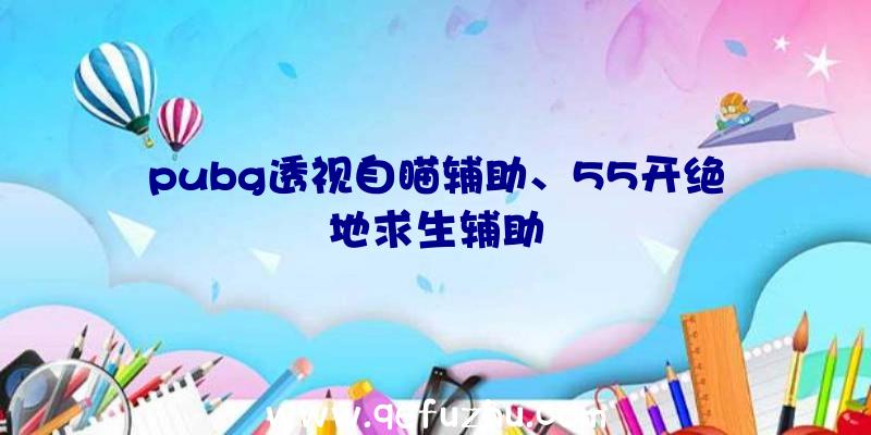 pubg透视自瞄辅助、55开绝地求生辅助