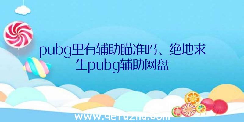 pubg里有辅助瞄准吗、绝地求生pubg辅助网盘