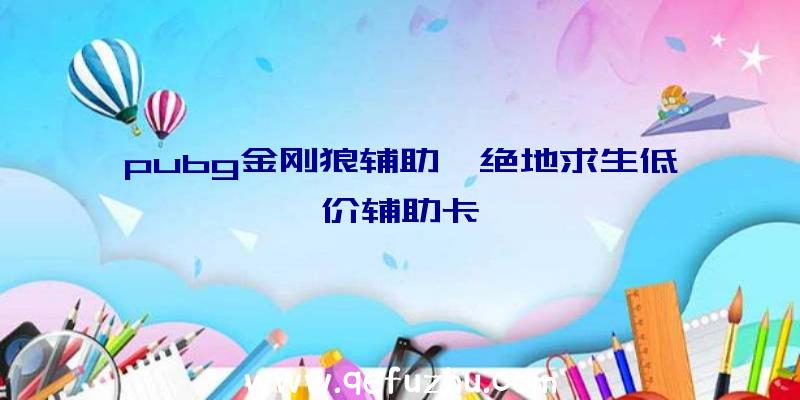 pubg金刚狼辅助、绝地求生低价辅助卡