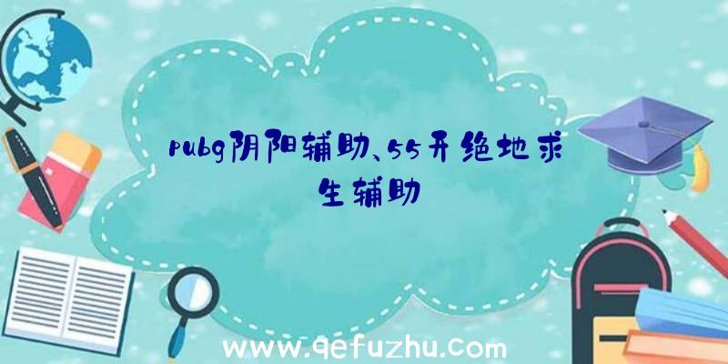 pubg阴阳辅助、55开绝地求生辅助