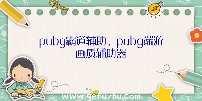 pubg霸道辅助、pubg端游画质辅助器