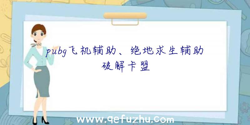 pubg飞机辅助、绝地求生辅助破解卡盟