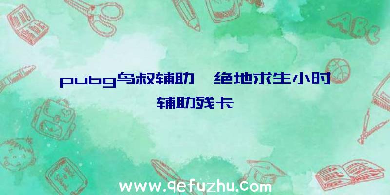 pubg鸟叔辅助、绝地求生小时辅助残卡