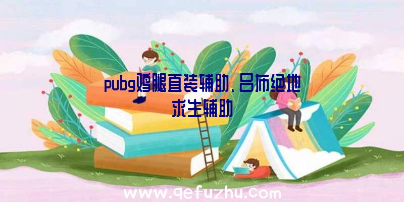 pubg鸡腿直装辅助、吕布绝地求生辅助