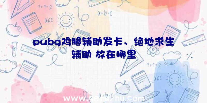 pubg鸡腿辅助发卡、绝地求生辅助