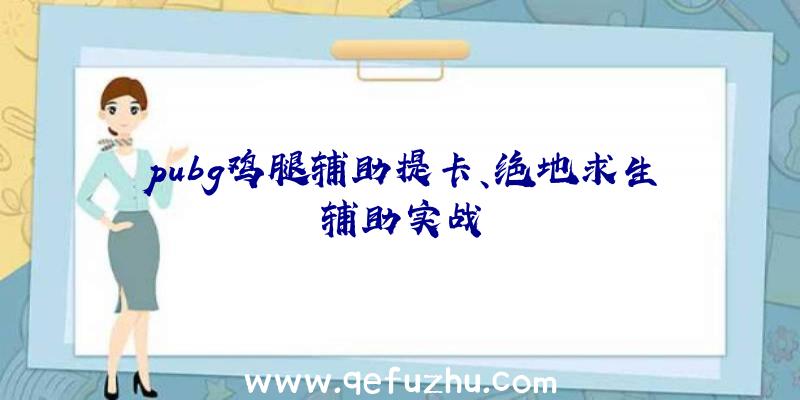 pubg鸡腿辅助提卡、绝地求生辅助实战