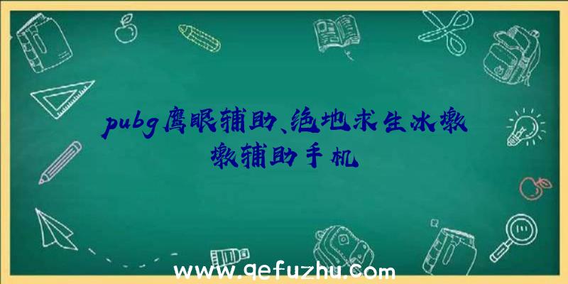 pubg鹰眼辅助、绝地求生冰墩墩辅助手机