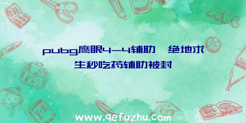 pubg鹰眼4-4辅助、绝地求生秒吃药辅助被封