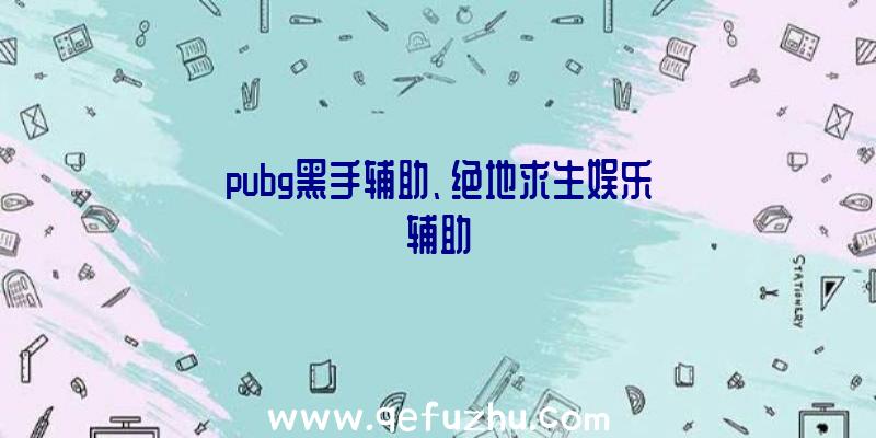 pubg黑手辅助、绝地求生娱乐辅助