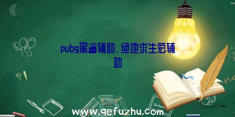 pubg黑鲨辅助、绝地求生宏辅助