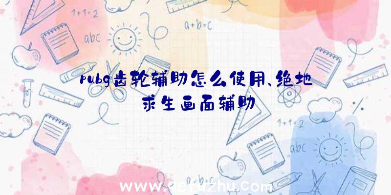 pubg齿轮辅助怎么使用、绝地求生画面辅助