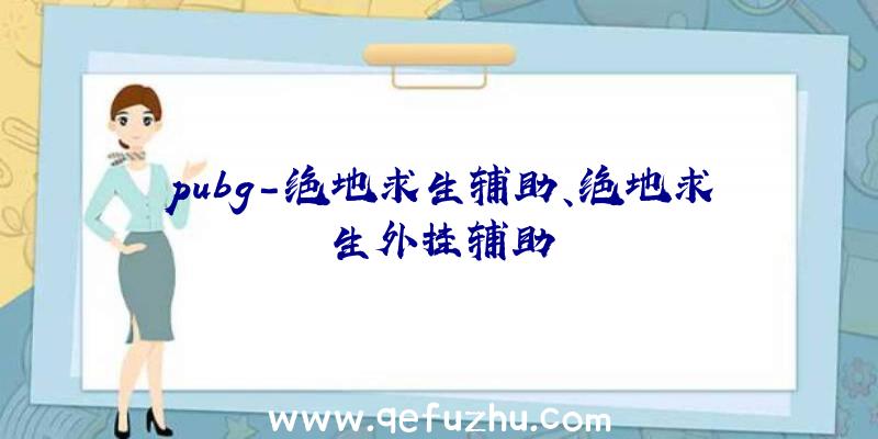 pubg-绝地求生辅助、绝地求生外挂辅助